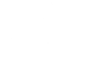 KERN logo white