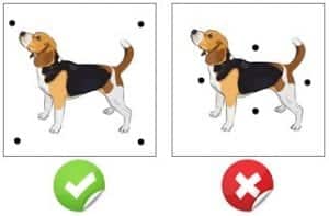 dot position